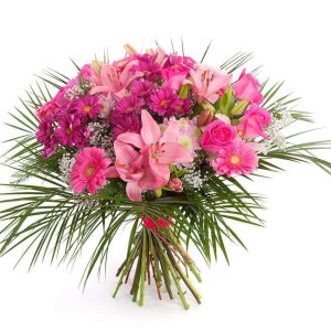 lirios Lirios Orientales Premium